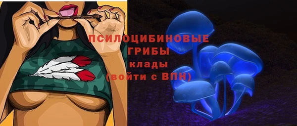 метадон Богородицк