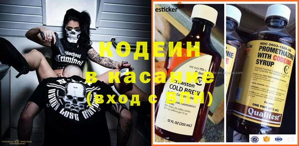 ПСИЛОЦИБИНОВЫЕ ГРИБЫ Богданович