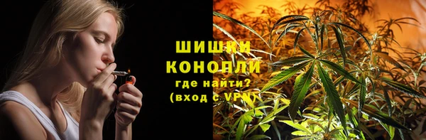 гидропоника Алзамай